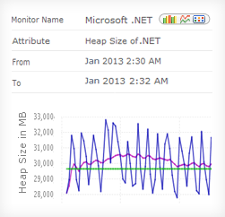 .NET server details