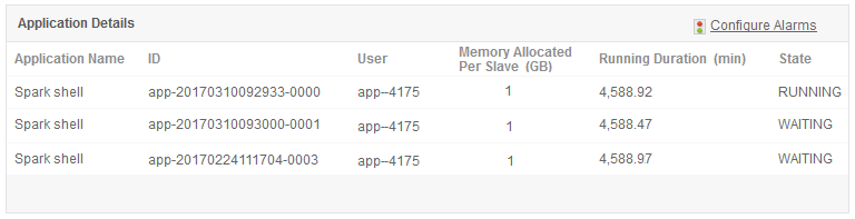 Apache Spark 应用程序详情