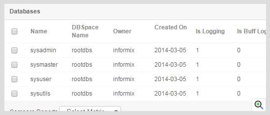 ManageEngine Applications Manager Informix 数据库配置