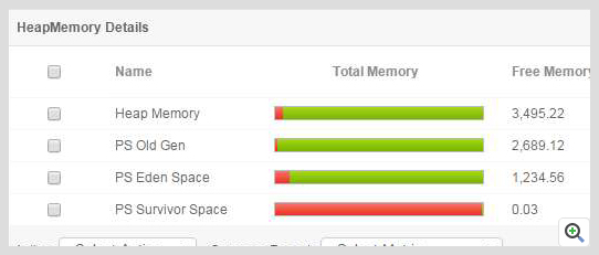 ManageEngine Applications Manager Jetty App Server 内存