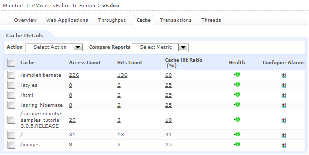 Cache Details 