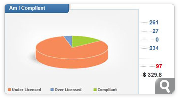 Software Asset Management Software