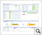 Overview Report