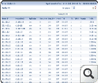 Network security snapshot