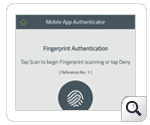 Fingerprint authentication