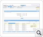 Self Update Audit Report