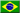 Brazilian Portuguese