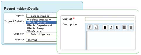 Record Incident Details