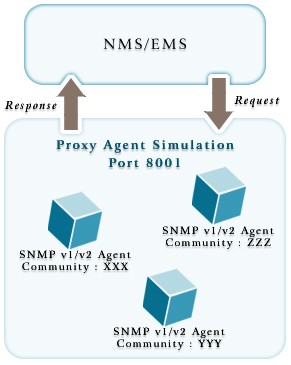 Proxy Agent Simulation