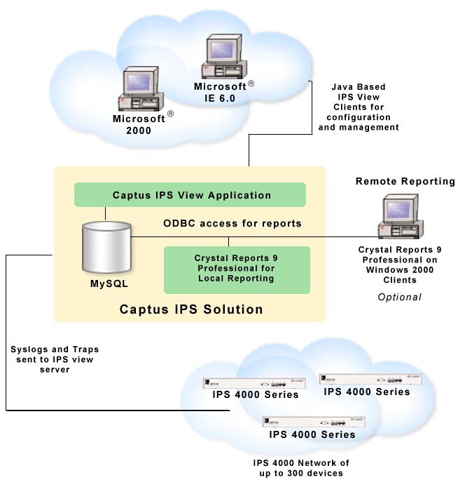 Captus IPS View deployment architecture